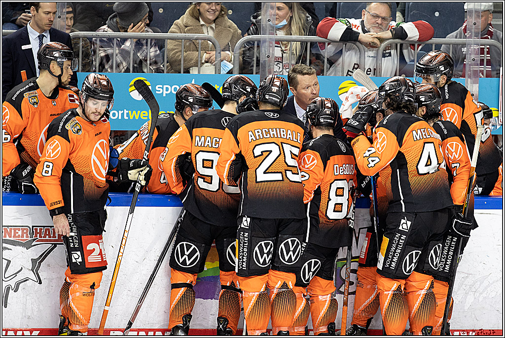 PENNY DEL;  Koelner Haie - Grizzlys Wolfsburg; Koeln, 25.11.2021